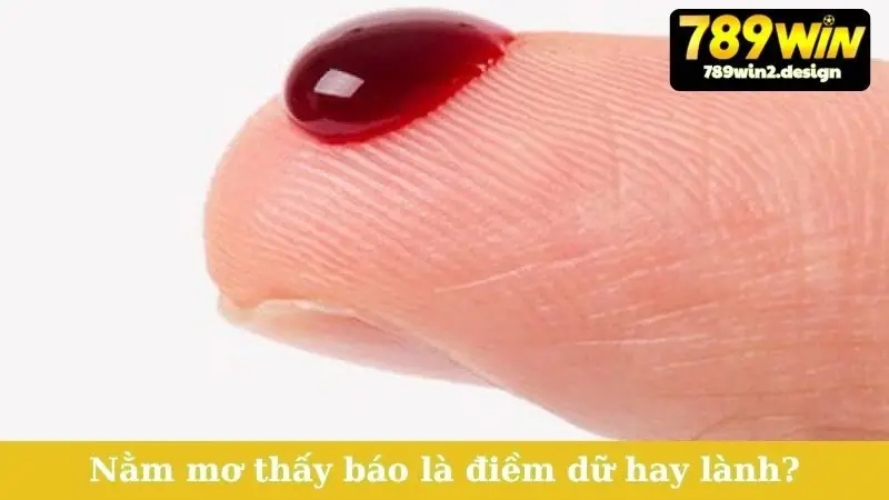 Nằm Mơ Thấy Máu - Điềm Báo Gì, Đánh Số Mấy Phát Tài? Nằm mơ thấy báo là điềm dữ hay lành?